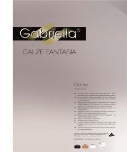 Gabriella - Fantasia 2013