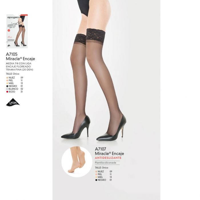 Apogeo Apogeo-basic-2015-18  Basic 2015 | Pantyhose Library