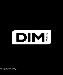 Winter 2016 Dim