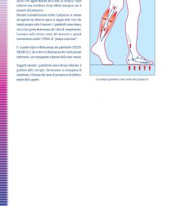 Cizeta Medicali - Linea Flebologica