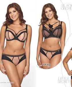 Ava Lingerie - Katalog Wiosna 2019