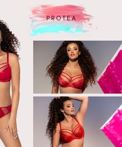 Ava Lingerie - Ss 2022 Wiosna Lato 2022