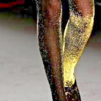 Vintage Passion Tights Nylons Classic Fashion Opaque Shimmer Gold Black