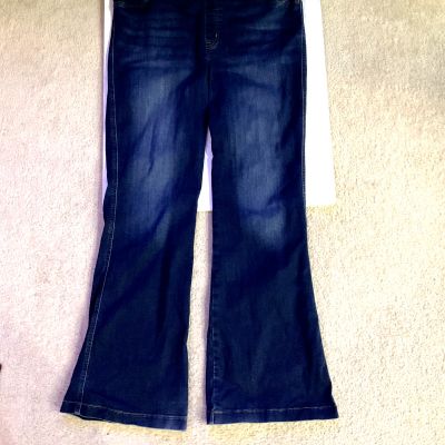 Spanx Womens Jean Leggings Size 2X Blue