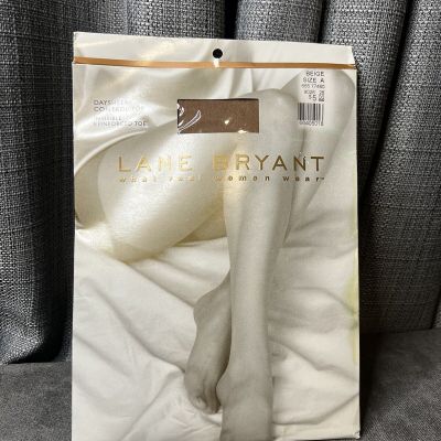 Lane Bryant Pantyhose Biege Size A Daysheer Control Top Reinforced Toe New