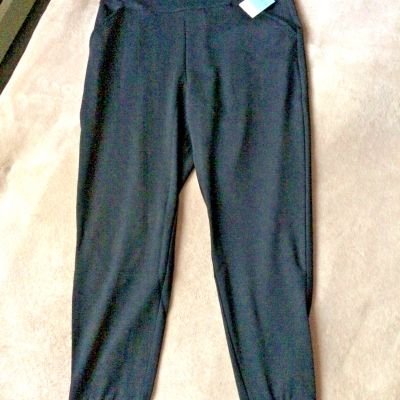 ASSETS by SPANX BBW 1X Very Black Ponte Shaping Jogger Leggings Style 20335R NWT