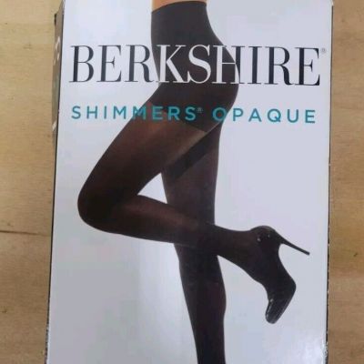 Berkshire Women's Plus Shimmers Control Top Opaque Tights  Black  5x-6x