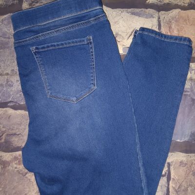 Style & Co Blue Jeggings/Leggings Women's XL W37 L39 Hi-Rise