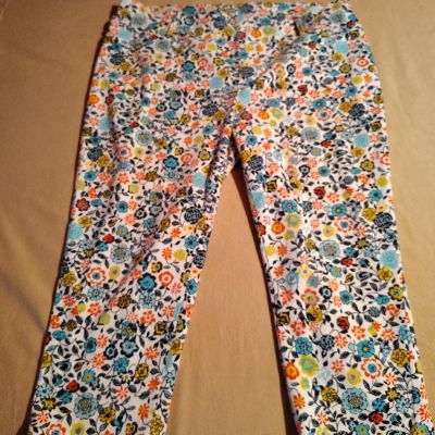 Terra & Sky Leggings Size 1X