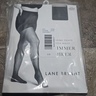 Lane Bryant Shimmer Sheer Shaping Tights  Size C/D  Black