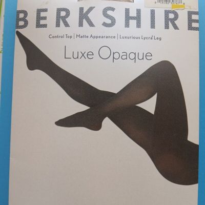 BERKSHIRE  SILKY SHEER  CONTROL TOP PANTYHOSE  Nude size 3-4