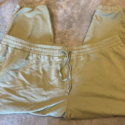 Ava & Viv Womens Green Track Sweatpants Size 4X