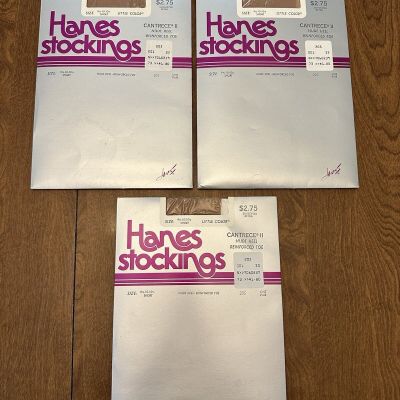 Hanes Stockings Cantrece II Nude Heel Reinforced Toe Vintage 1979 Lot Of 3 NOS